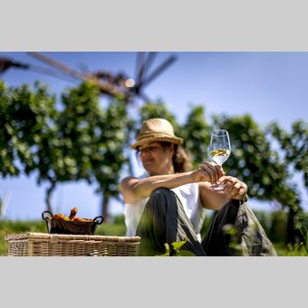 Picnic with styrian deep fried chicken in vineyard  | © Steiermark Tourismus | Tom Lamm