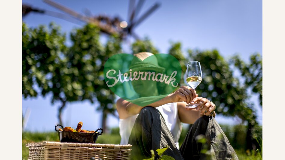 Picnic with styrian deep fried chicken in vineyard  | © Steiermark Tourismus | Tom Lamm
