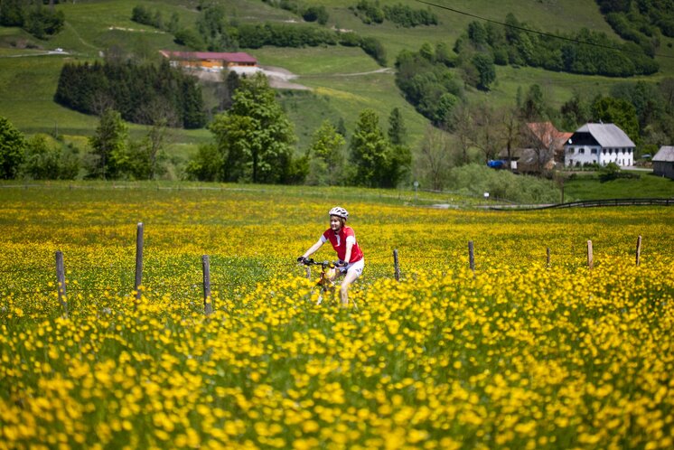 Radfahren im Frühling | © STG | Tom Lamm