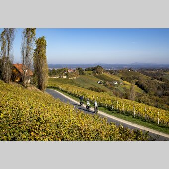 Radfahren auf der Weinland Steiermark Radtour | © STG | Tom Lamm