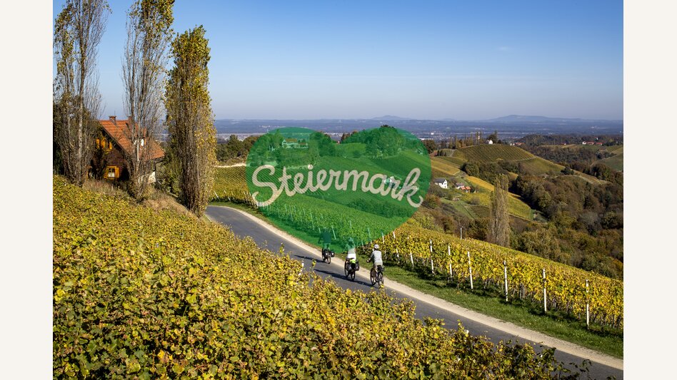 Radfahren auf der Weinland Steiermark Radtour | © STG | Tom Lamm