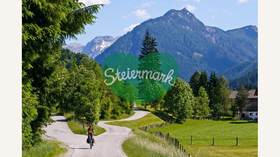 Am Ennsradweg bei Radstadt | © STG | Gerhard Eisenschink