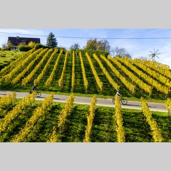 Cycling in the Styrian Wine Country | © Steiermark Tourismus | Tom Lamm