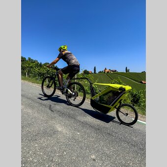 Weinstraßenausfahrt | © STG | Klein