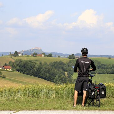 Blick auf die Riegersburg