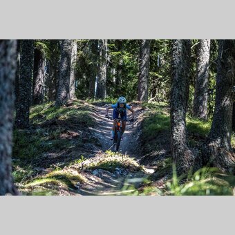 at the Reiteralm | © Steiermark Tourismus | Gleichweit-Nistelberger