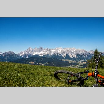 Reiteralm | © Steiermark Tourismus | Gleichweit-Nistelberger