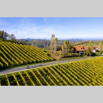 Styrian Wine Country Cycling Tour near Gamlitz | © Steiermark Tourismus | Tom Lamm