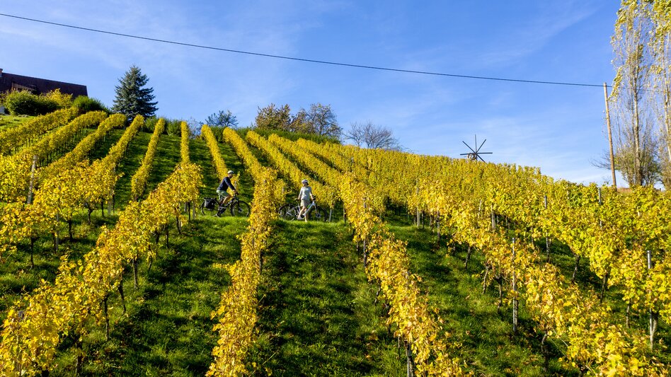 Radfahren im Weinland Steiermark