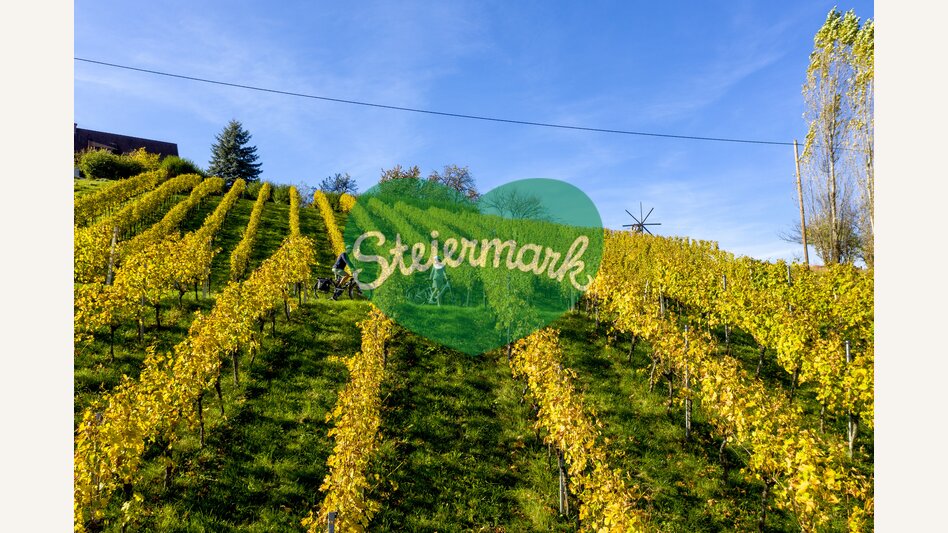 Cycling in the Styrian Wine Country | © Steiermark Tourismus | Tom Lamm
