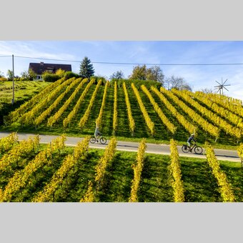 Cycling in the Styrian Wine Country | © Steiermark Tourismus | Tom Lamm