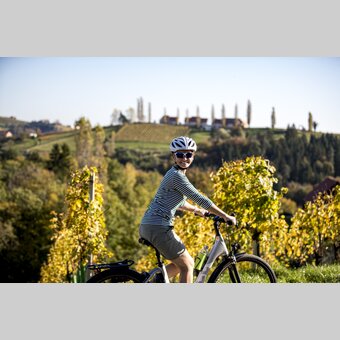 Cycling in  the Styrian Wine Country | © Steiermark Tourismus | Tom Lamm