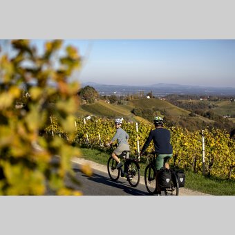 Cycling in the Styrian Wine Country | © Steiermark Tourismus | Tom Lamm