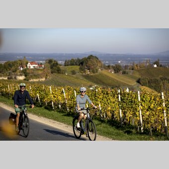 Cycling in the Styrian Wine Country | © Steiermark Tourismus | Tom Lamm