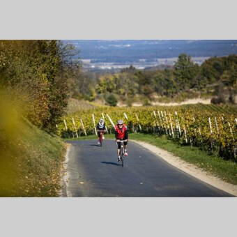 Cycling in the Styrian Wine Country | © Steiermark Tourismus | Tom Lamm