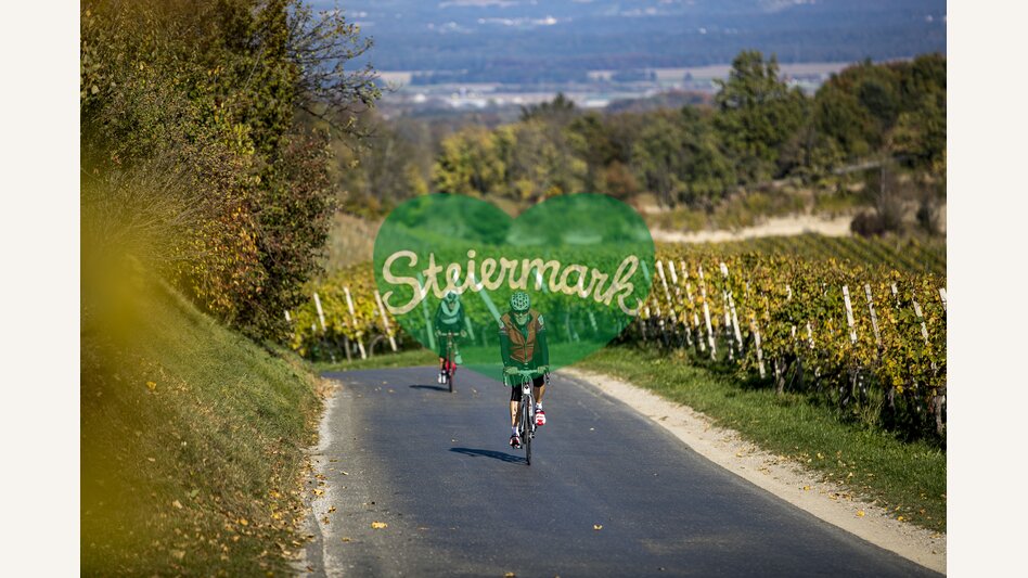 Cycling in the Styrian Wine Country | © Steiermark Tourismus | Tom Lamm