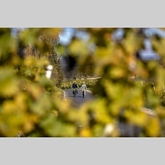 Cycling in the Styrian Wine Country | © Steiermark Tourismus | Tom Lamm