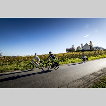 Cycling at the Styrian Wine Country Cycling Tour | © Steiermark Tourismus | Tom Lamm