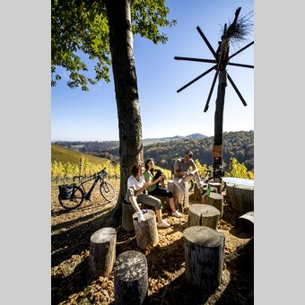 Auf der Weinland Steiermark Radtour | © STG | Tom Lamm