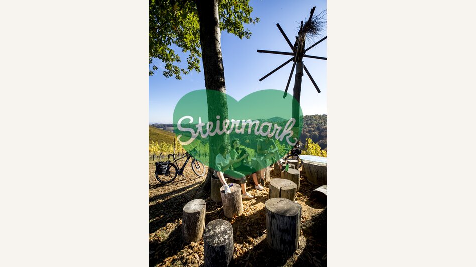 Auf der Weinland Steiermark Radtour | © STG | Tom Lamm