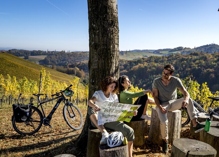 Cycling at the Styrian Wine Country Cycling Tour, Sernauberg | © Steiermark Tourismus | Tom Lamm
