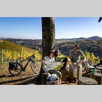 Cycling at the Styrian Wine Country Cycling Tour | © Steiermark Tourismus | Tom Lamm