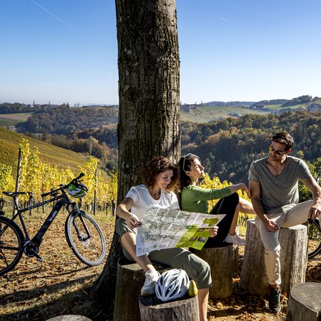 Cycling at the Styrian Wine Country Cycling Tour | © Steiermark Tourismus | Tom Lamm