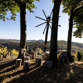 Auf der Weinland Steiermark Radtour
