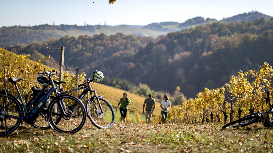 Radfahren auf der Weinland Steiermark Radtour
