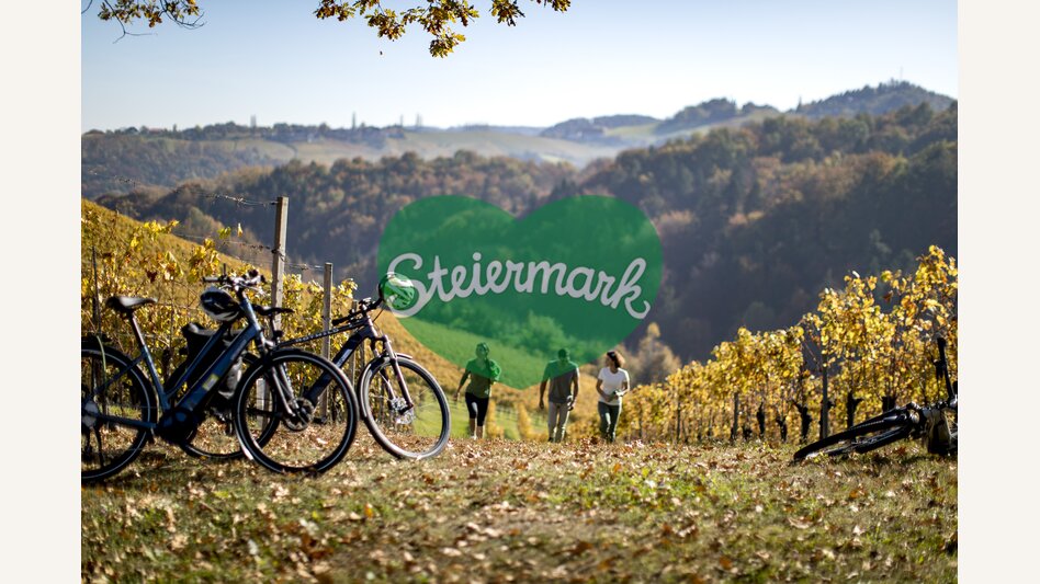 Cycling at the Styrian Wine Country Cycling Tour | © Steiermark Tourismus | Tom Lamm