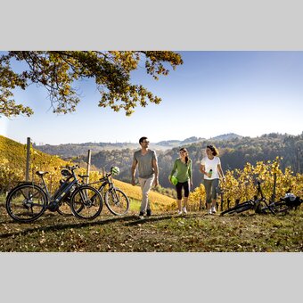 Cycling at the Styrian Wine Country Cycling Tour | © Steiermark Tourismus | Tom Lamm