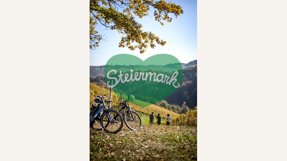 Radfahren auf der Weinland Steiermark Radtour | © STG | Tom Lamm