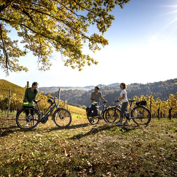 Radfahren im Weinland Steiermark