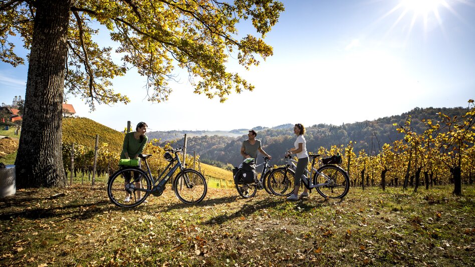 Radfahren im Weinland Steiermark | © STG | Tom Lamm