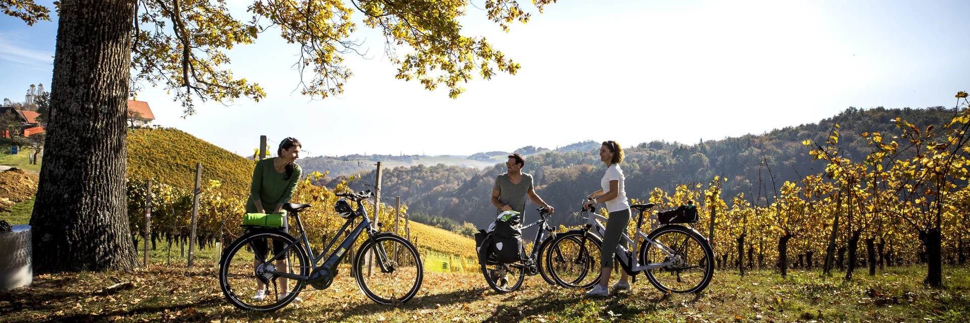 Radfahren im Weinland Steiermark | © STG | Tom Lamm