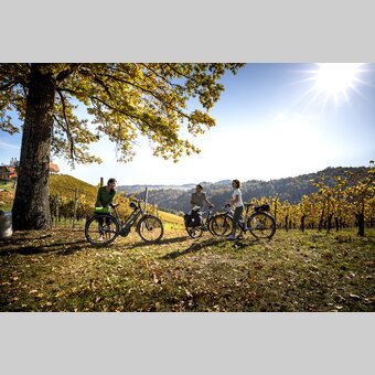 Radfahren im Weinland Steiermark | © STG | Tom Lamm
