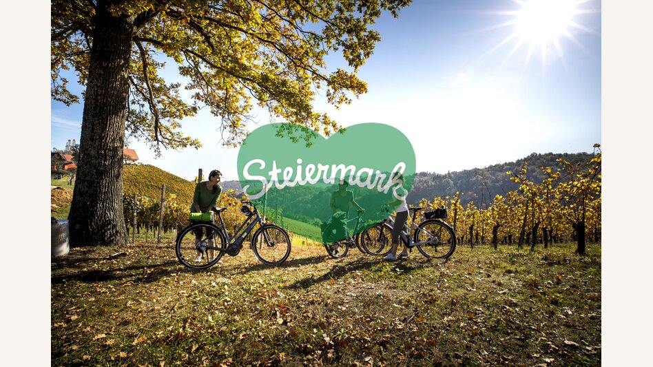 Radfahren im Weinland Steiermark | © STG | Tom Lamm