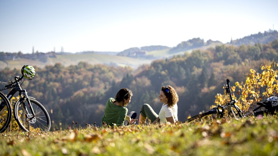 Cycling at the Styrian Wine Country Cycling Tour