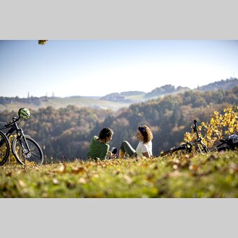 Cycling at the Styrian Wine Country Cycling Tour, Sernauberg | © Steiermark Tourismus | Tom Lamm