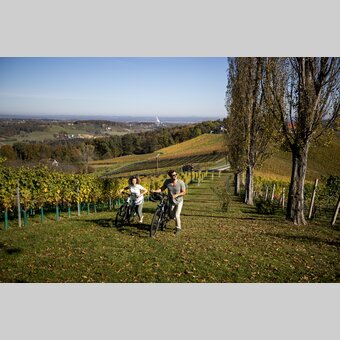 Cyclists at the Styrian Wine Country Cycling Tour | © Steiermark Tourismus | Tom Lamm