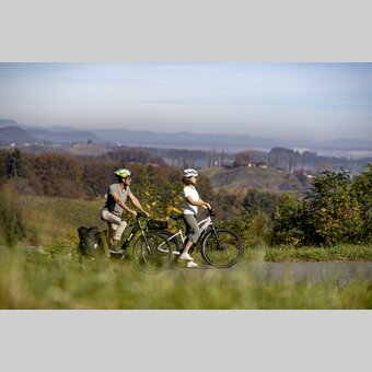Cycling in the Styrian Wine Country | © Steiermark Tourismus | Tom Lamm