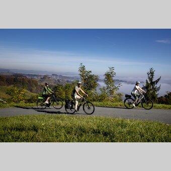 Cycling at the Styrian Wine Country Cycling Tour | © Steiermark Tourismus | Tom Lamm