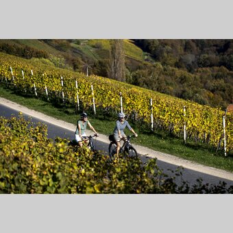 Cycling in the Styrian Wine Country | © Steiermark Tourismus | Tom Lamm