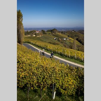 Radfahren im Weinland Steiermark | © STG | Tom Lamm
