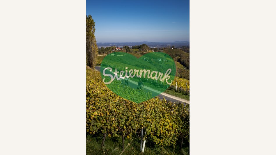 Radfahren im Weinland Steiermark | © STG | Tom Lamm