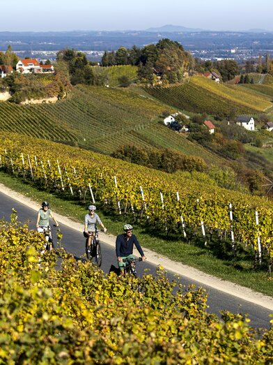 Cycling in the Styrian Wine Country | © Steiermark Tourismus | Tom Lamm