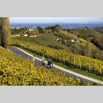 Cycling in the Styrian Wine Country | © Steiermark Tourismus | Tom Lamm