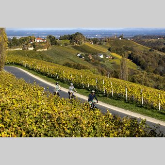 Cycling in the Styrian Wine Country | © Steiermark Tourismus | Tom Lamm