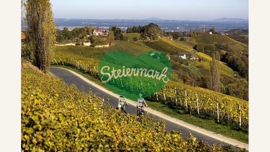Radfahren auf der Weinland Steiermark Radtour | © STG | Tom Lamm