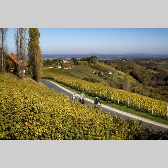 Cycling in the Styrian Wine Country | © Steiermark Tourismus | Tom Lamm